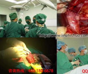 手術示教系統廠商林之碩的亮點有哪些?